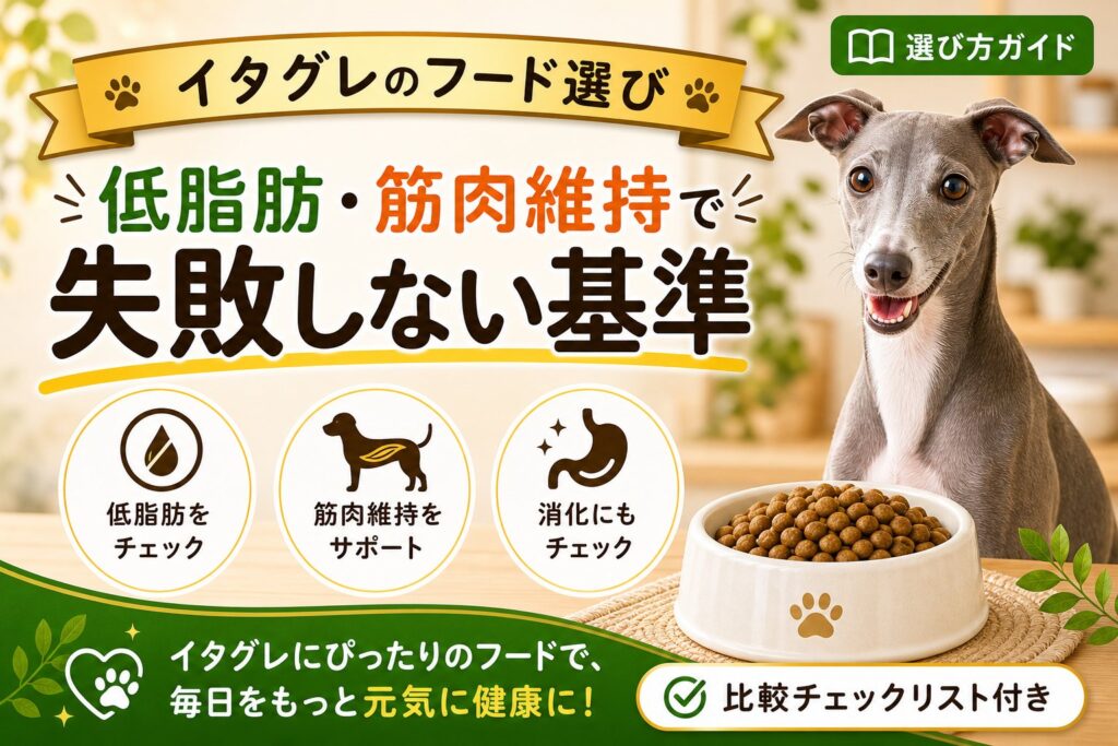 イタグレにおすすめのドッグフード｜低脂肪・筋肉維持で比較