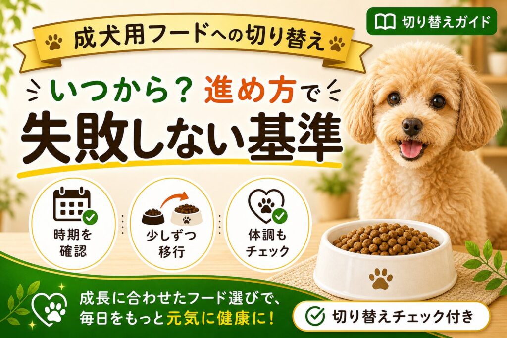 子犬から成犬用フードはいつから？切り替え時期と失敗しない進め方