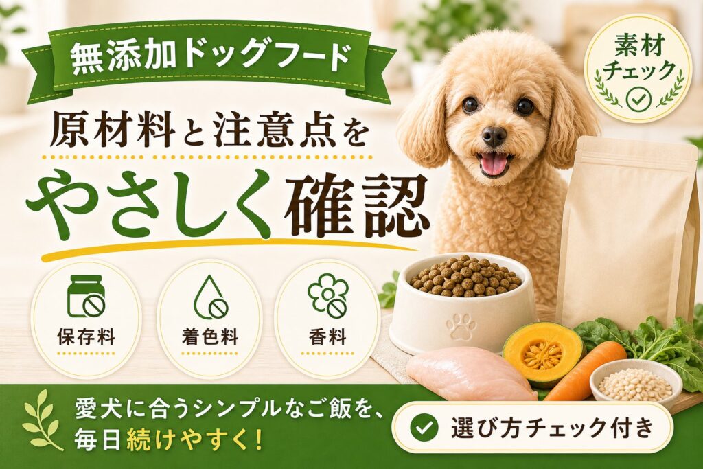 無添加ドッグフードおすすめ｜選ぶ前に確認したい原材料と注意点