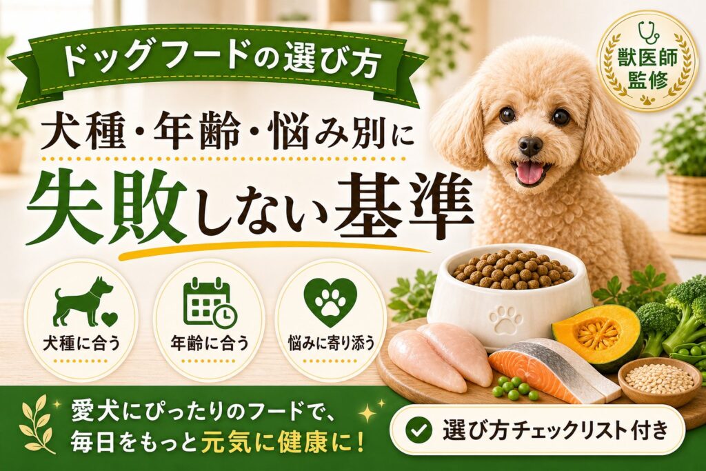 ドッグフードの選び方｜犬種・年齢・悩み別に失敗しない基準
