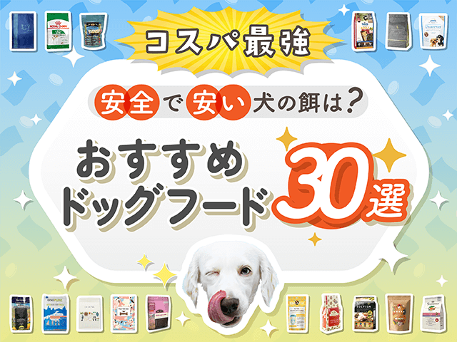 おすすめドッグフード30選！安全で安い犬
