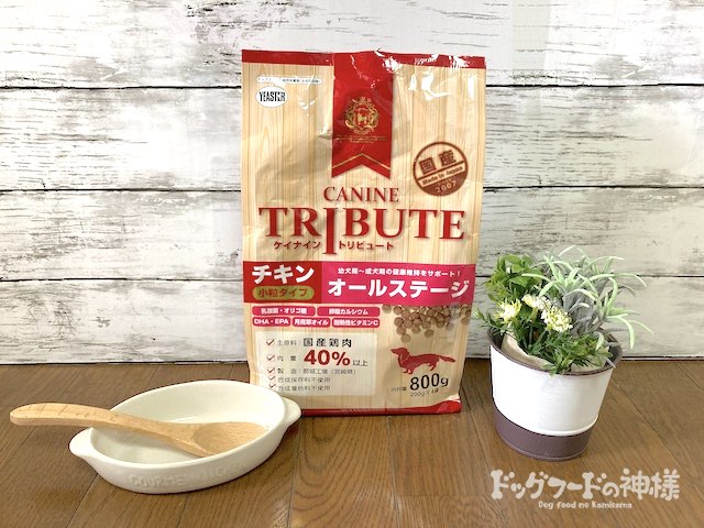 ケイナイン・トリビュート