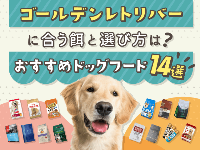 ゴールデンレトリバーに合う餌と選び方は？おすすめドッグフード14選