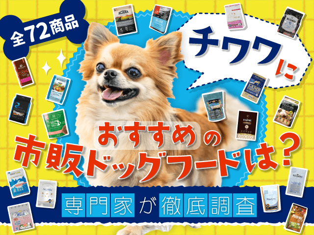 チワワにおすすめ
