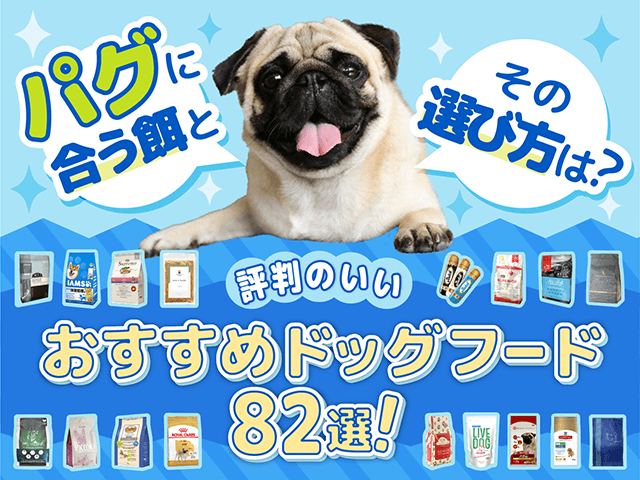 パグに合う餌とそ