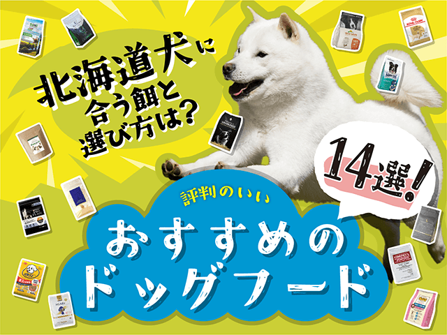 北海道犬に合う餌と選び方は？評判
