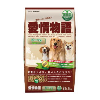 愛情物語