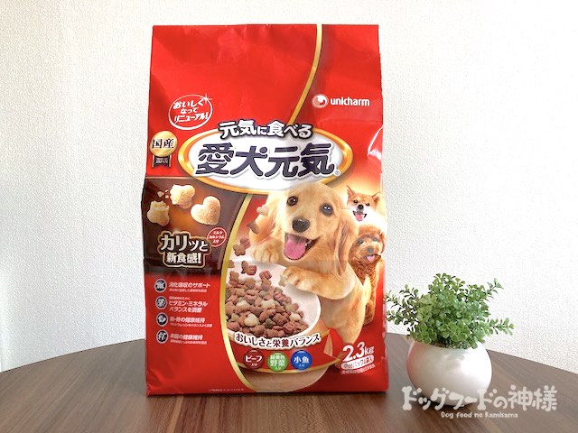 愛犬元気