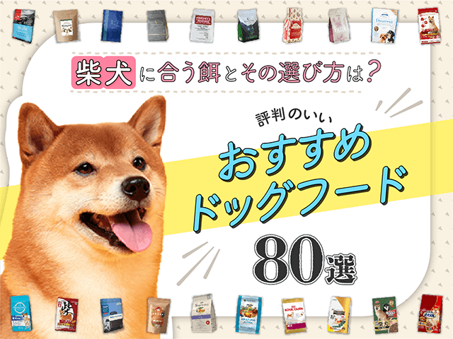柴犬向けおすすめドッグフード！評判