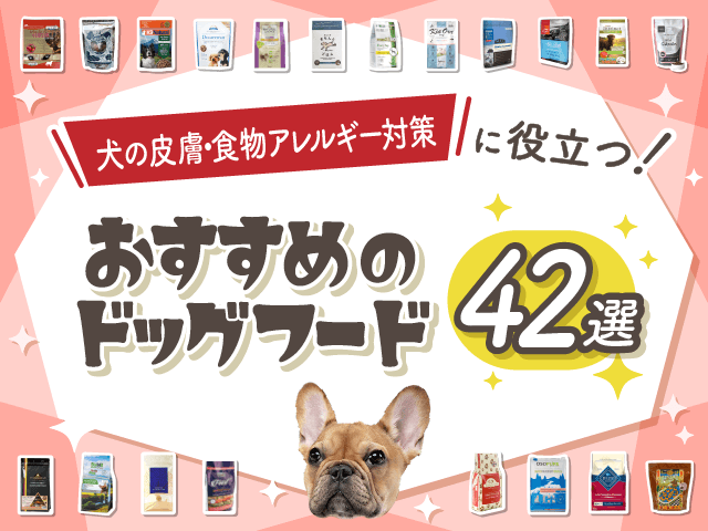 犬