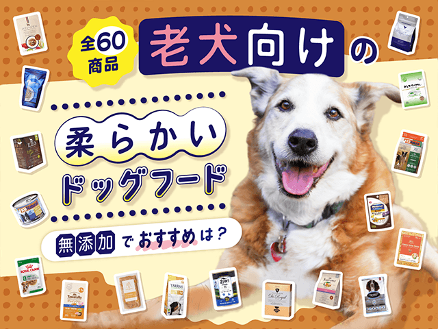 老犬向け