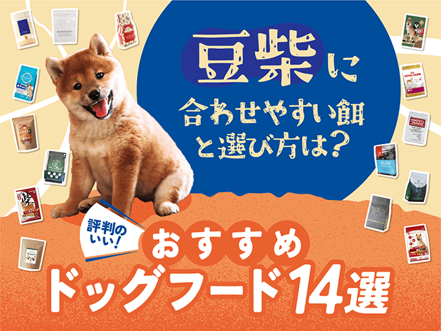 豆柴に合わせやすい餌と選び方は？評判