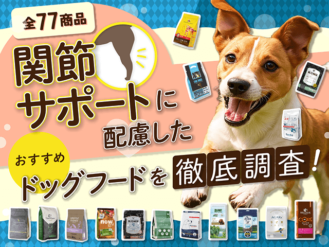 関節サポートに配慮したおすすめ