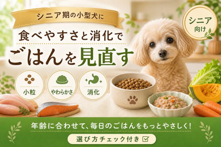 シニア期の小型犬におすすめのドッグフード選び｜食べやすさと消化で比較