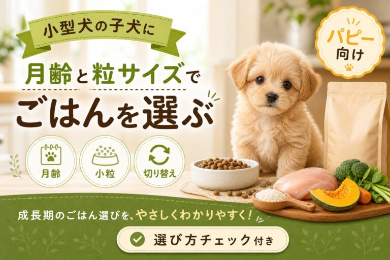 小型犬の子犬に合うドッグフードの選び方｜粒サイズ・月齢・切り替え方