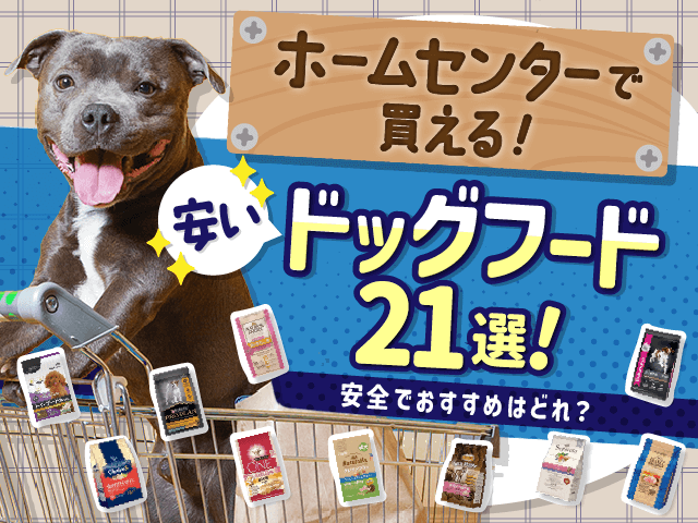 ホームセンターで買える安いドッグフード21選！安全でおすすめはどれ？